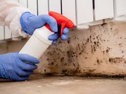 Best Emergency Mold Remediation  in Eaton, IN